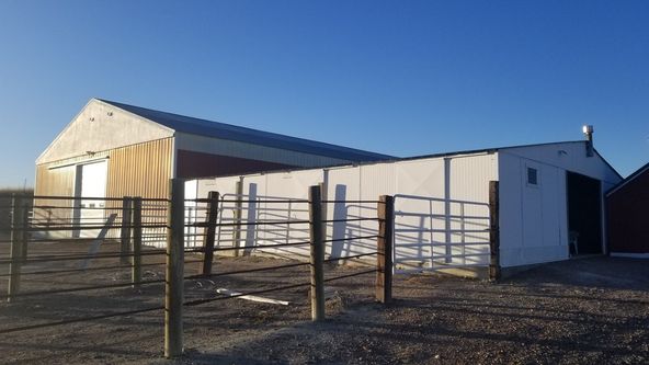 Montana Dream Property With Unlimited Options on 48+ Acres In Sidney: 12353 County Rd 348, Sidney, MT 59270